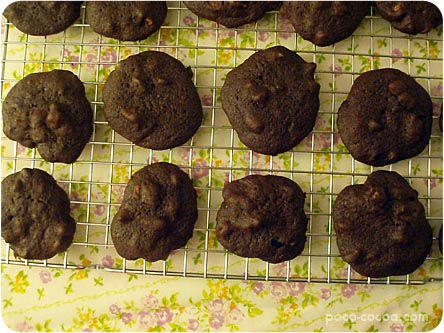 choc-walnut-cookies
